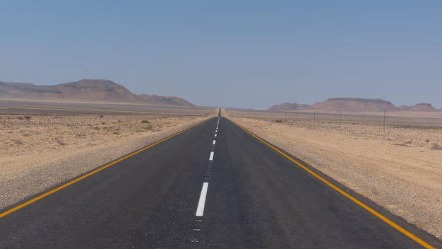 Trans-Saharan Highway